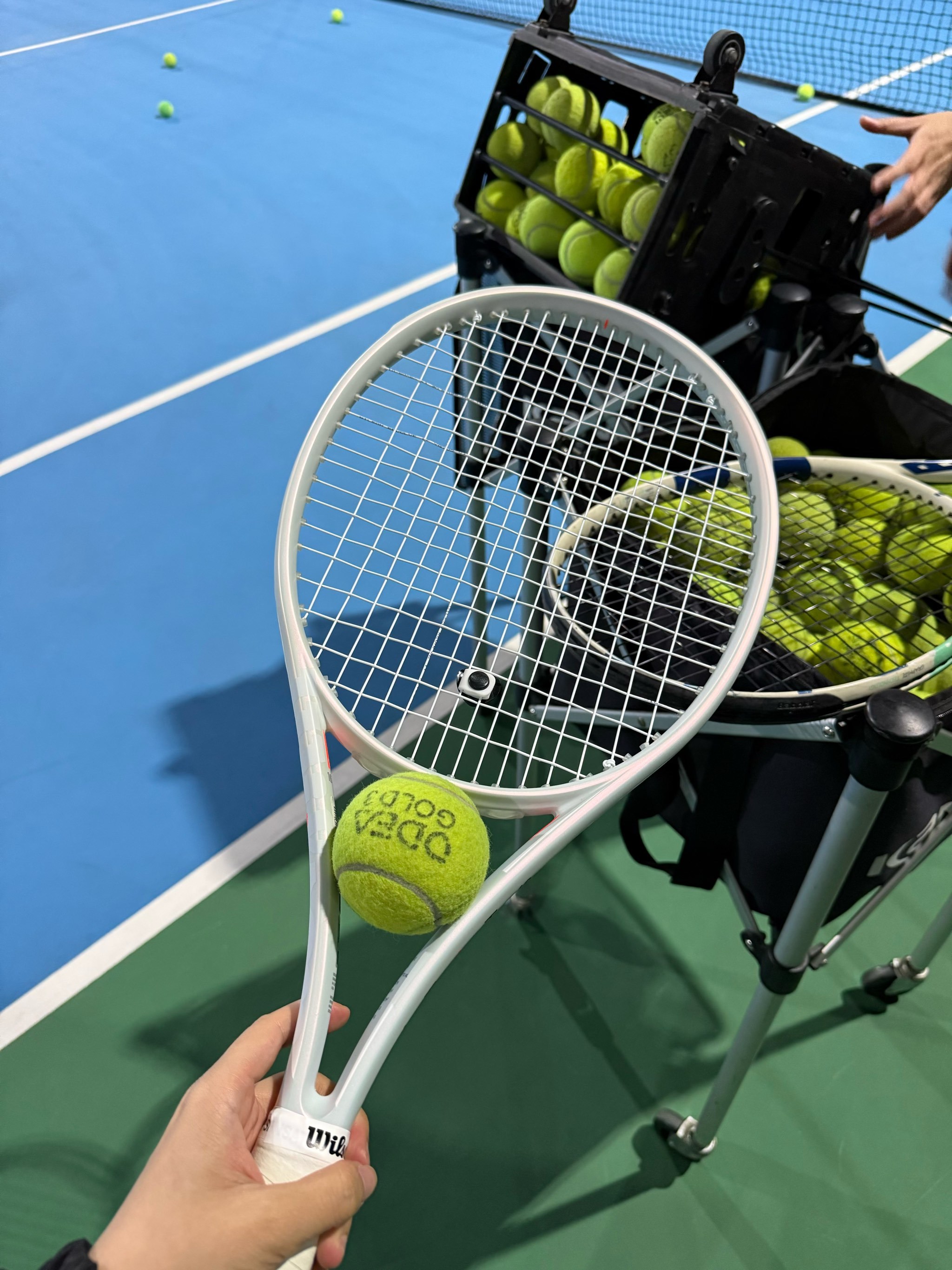 如果你需要 如果你需要